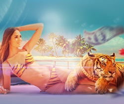 Бонусы Адмирал