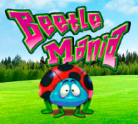 Beetle Mania